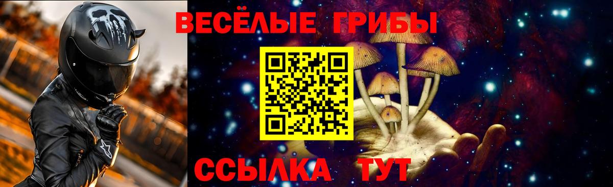 Галлюциногенные грибы MAGIC MUSHROOMS  Вход с VPN  Кингисепп 