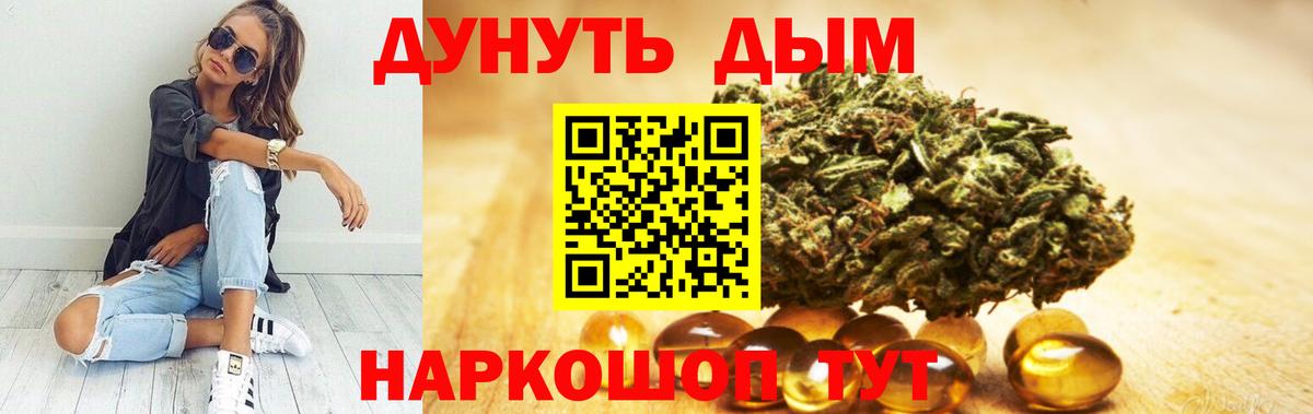 Марихуана сатива Кингисепп